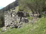 alttext 1